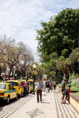 Central Funchal Apartment - Garden - Free Parking & Ac Екстер'єр фото
