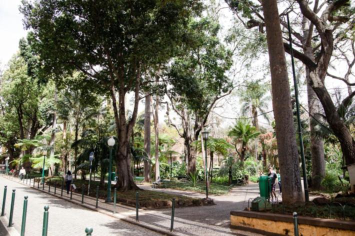 Central Funchal Apartment - Garden - Free Parking & Ac Екстер'єр фото
