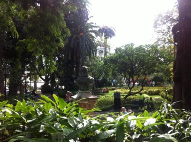 Central Funchal Apartment - Garden - Free Parking & Ac Екстер'єр фото